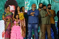 Aa Okkati Adakku Movie Pre Release Event Photos